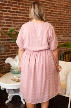 Evening In The Park Dress, Mauve -VogueBabe Store EveningInTheParkDress Mauve 1055